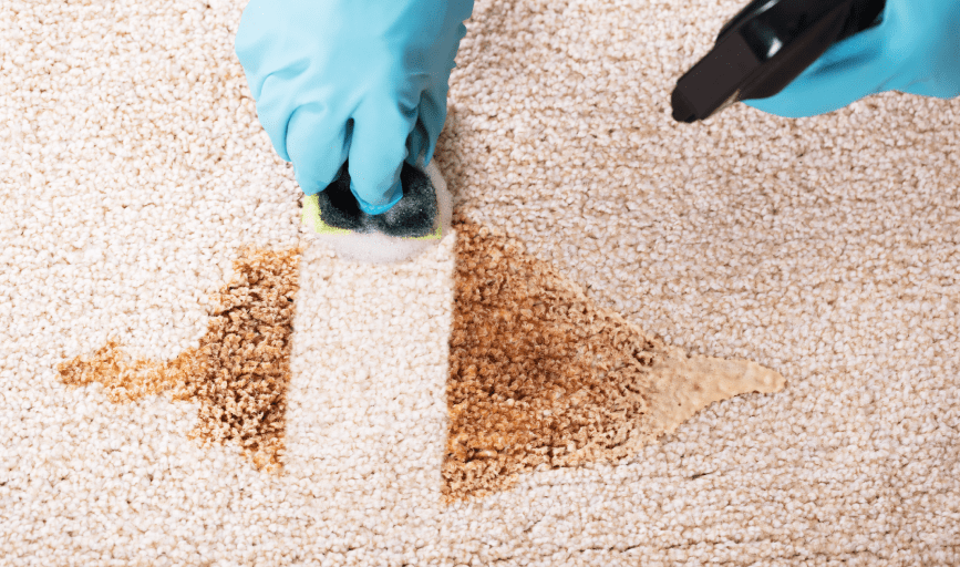 CARPET CLEANING